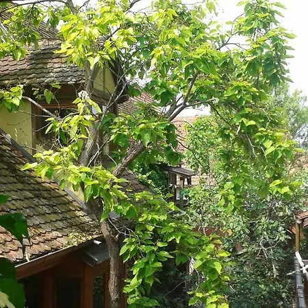 Wonderful In Paris, Near Notre Dame Cathedral Bergheim