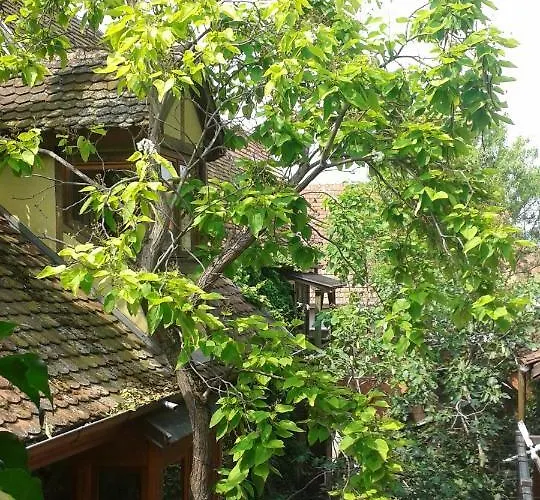 Wonderful In Paris, Near Notre Dame Cathedral Bergheim